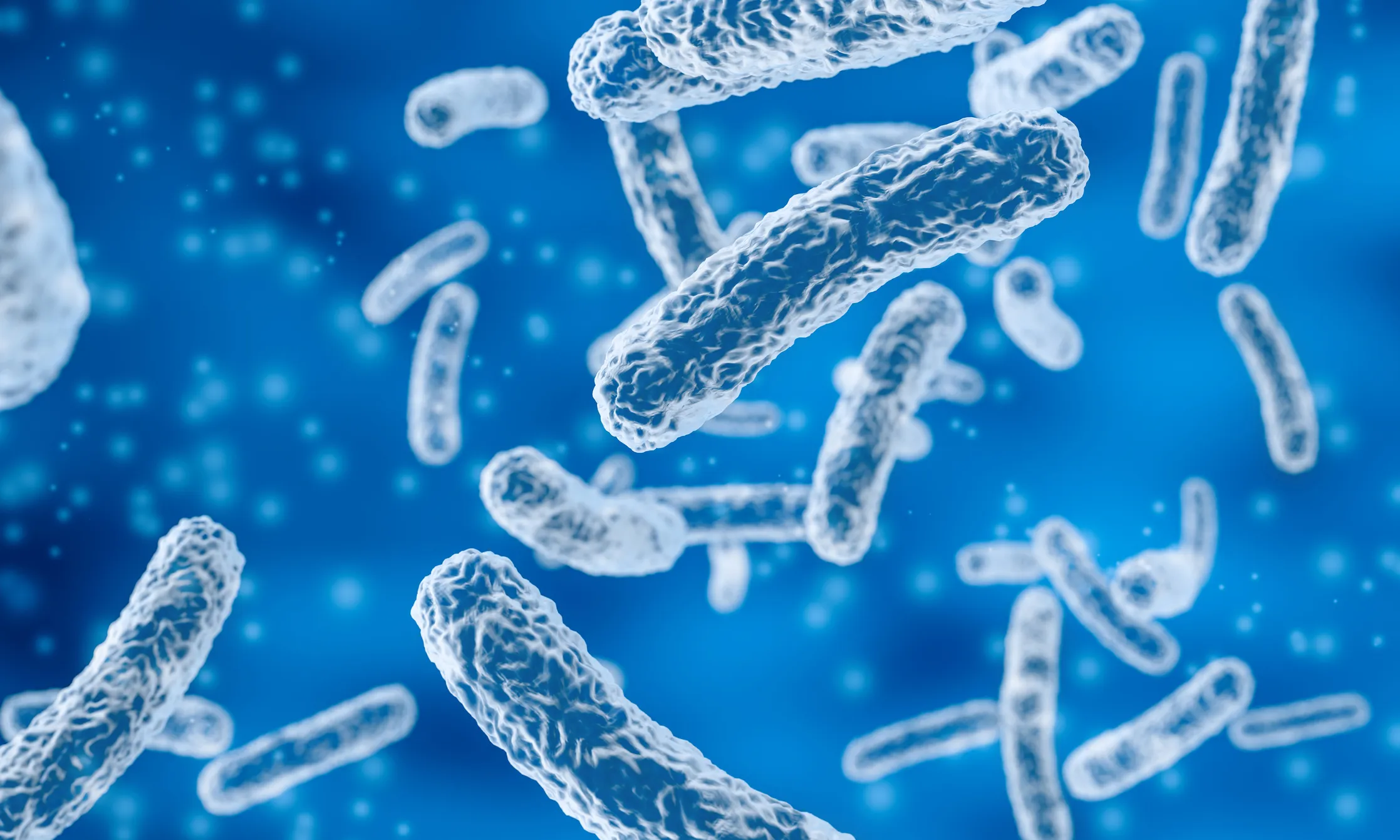 Colorized electron micrograph of bacterial rods on a dark field